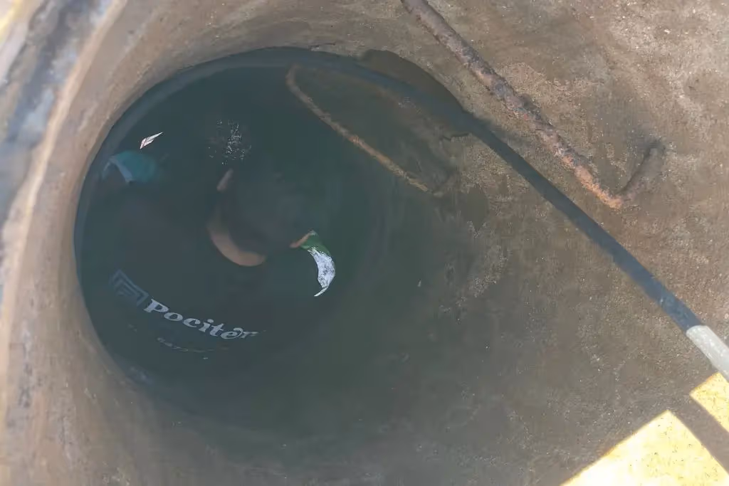 Poceros en San Fernando de Henares